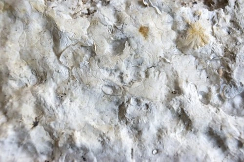 water-2-2 < muck, waste, trash, emissions...................... to Money? Mycelium insulation Construction- Mycelium in Construction >>> Mycotecture? MORE